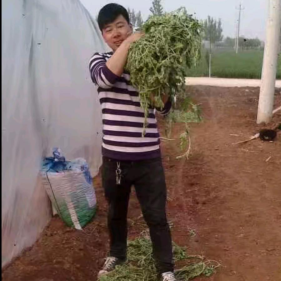 马到成功