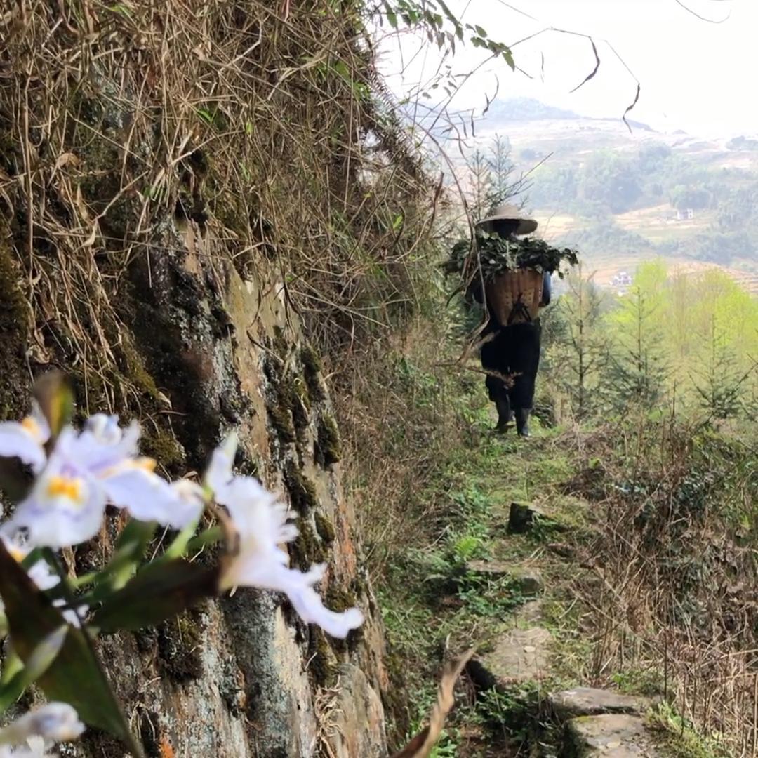 小药童专营店