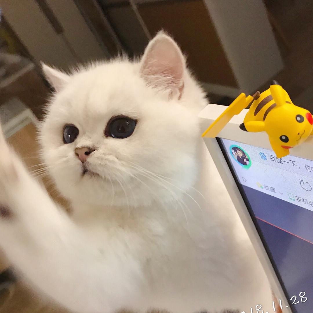 刘涛同学和晚晚@抖音