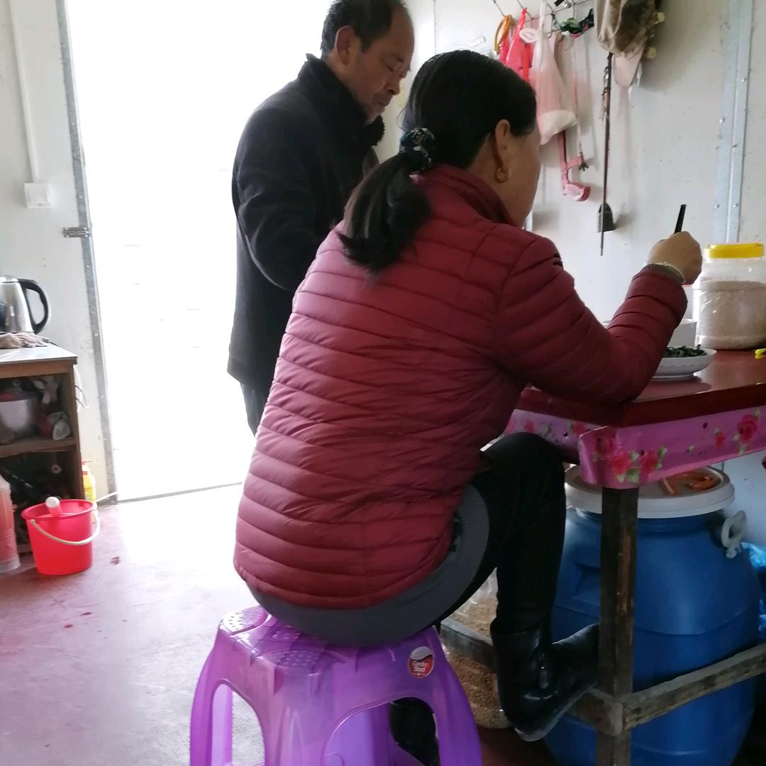 老王奶