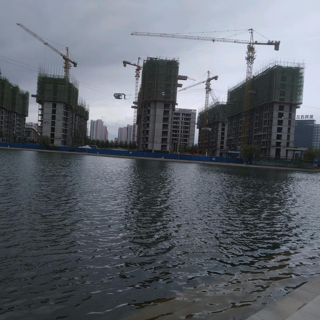 我的心愿