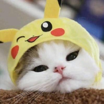 克里斯解说@抖音