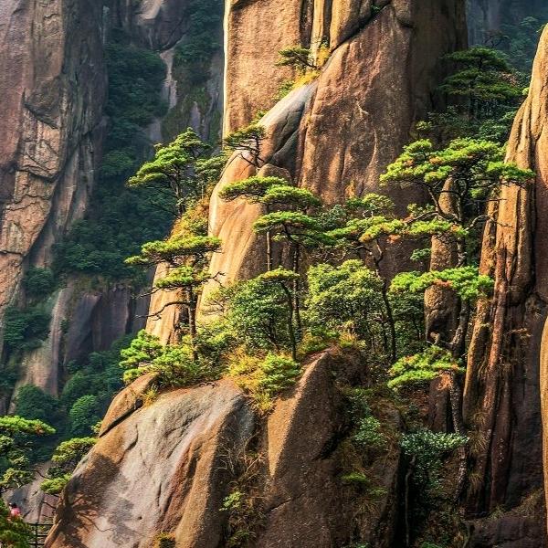 稳坐江山