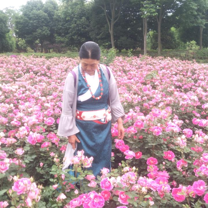 上善若水