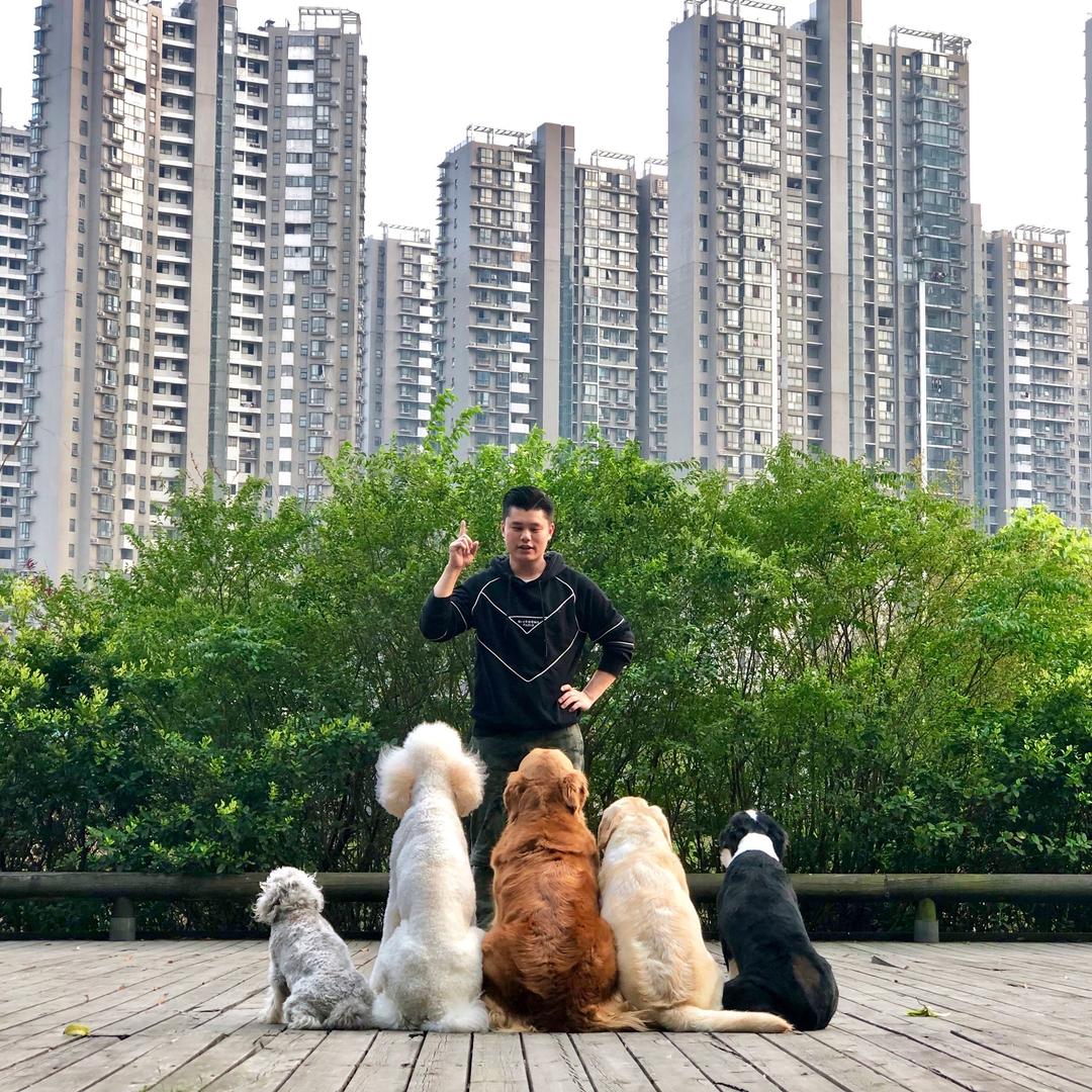 文韬教你训犬