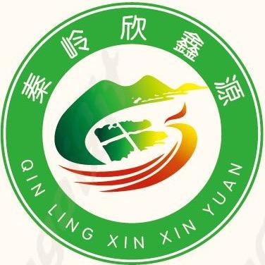 凤县南五味子(红宝石)