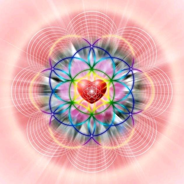 传琳~治愈系分享