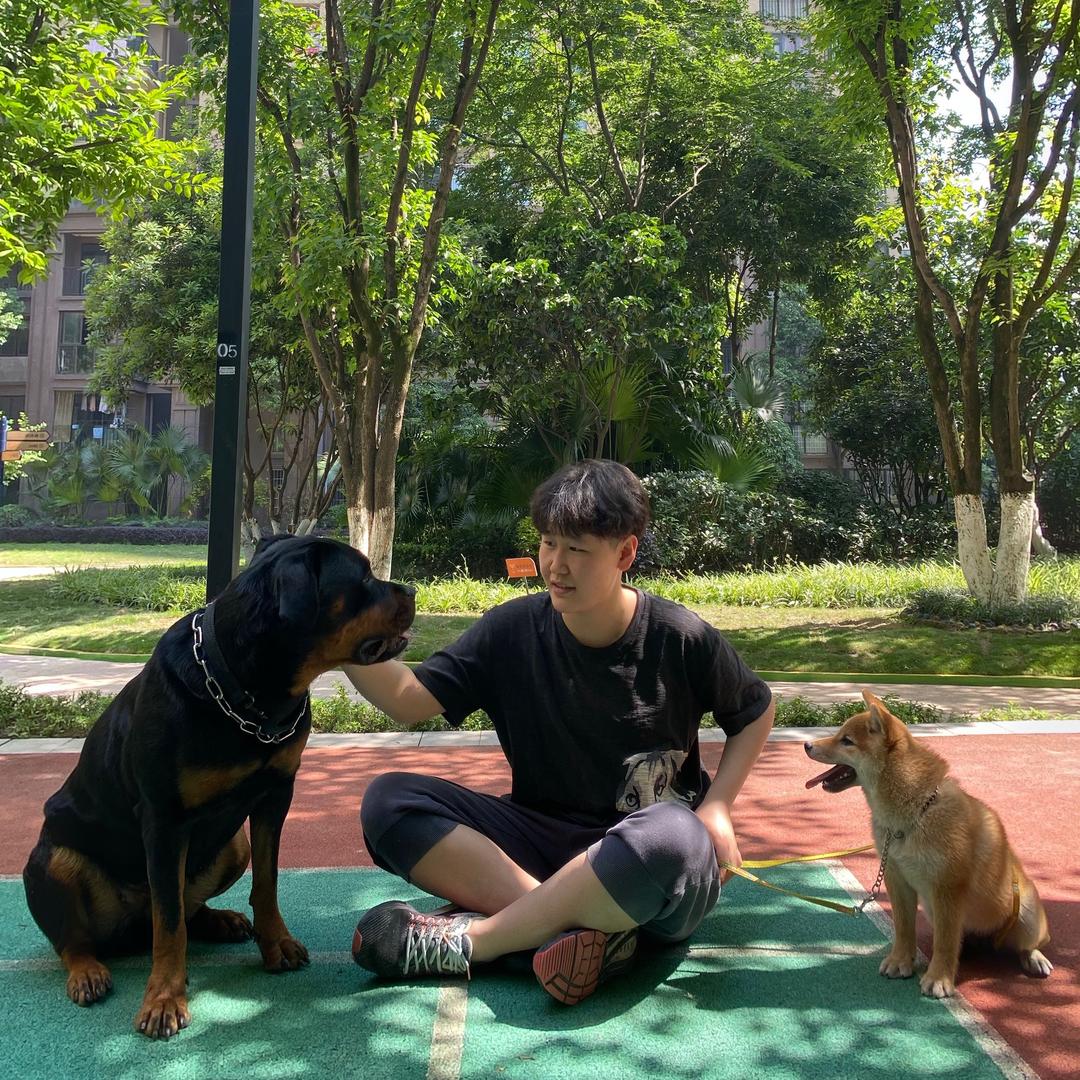 重庆 GoGo训犬工作室