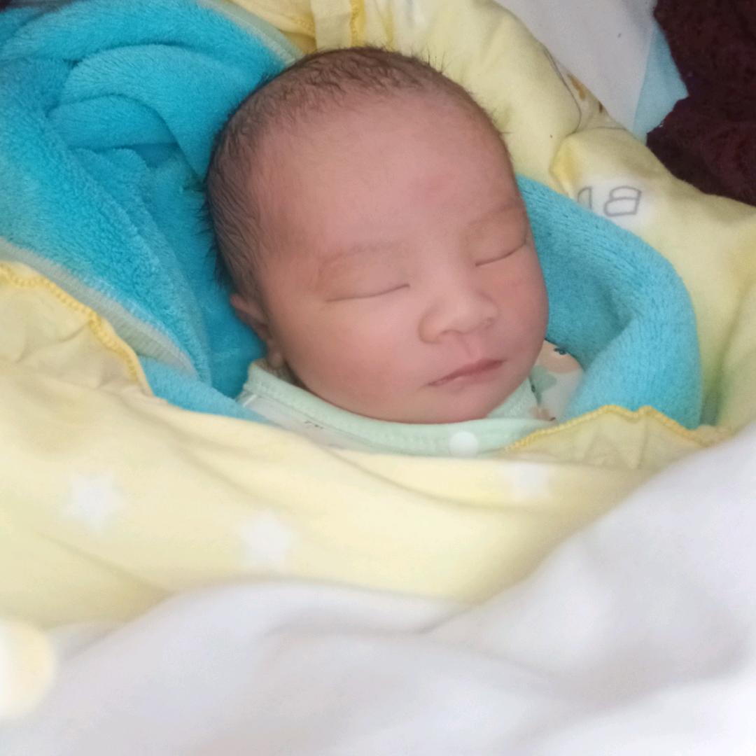 爱似清风情似雨