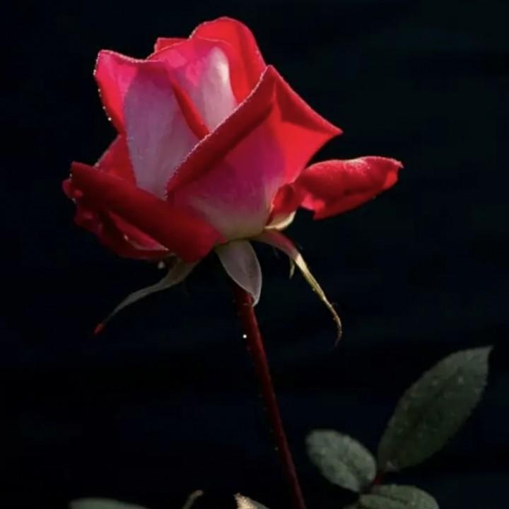 我在等你