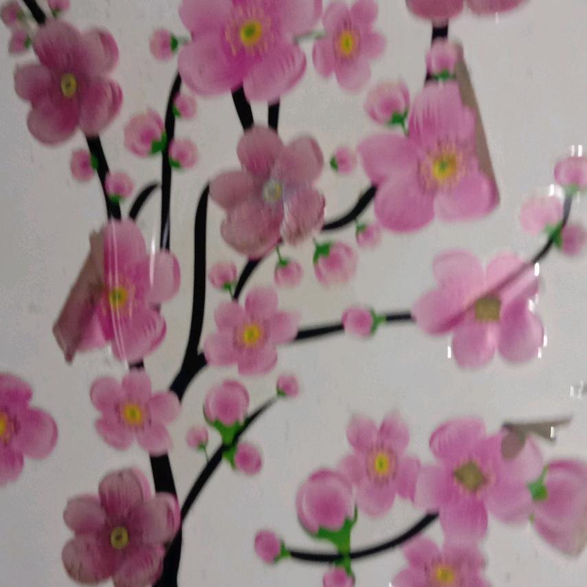 天天快乐