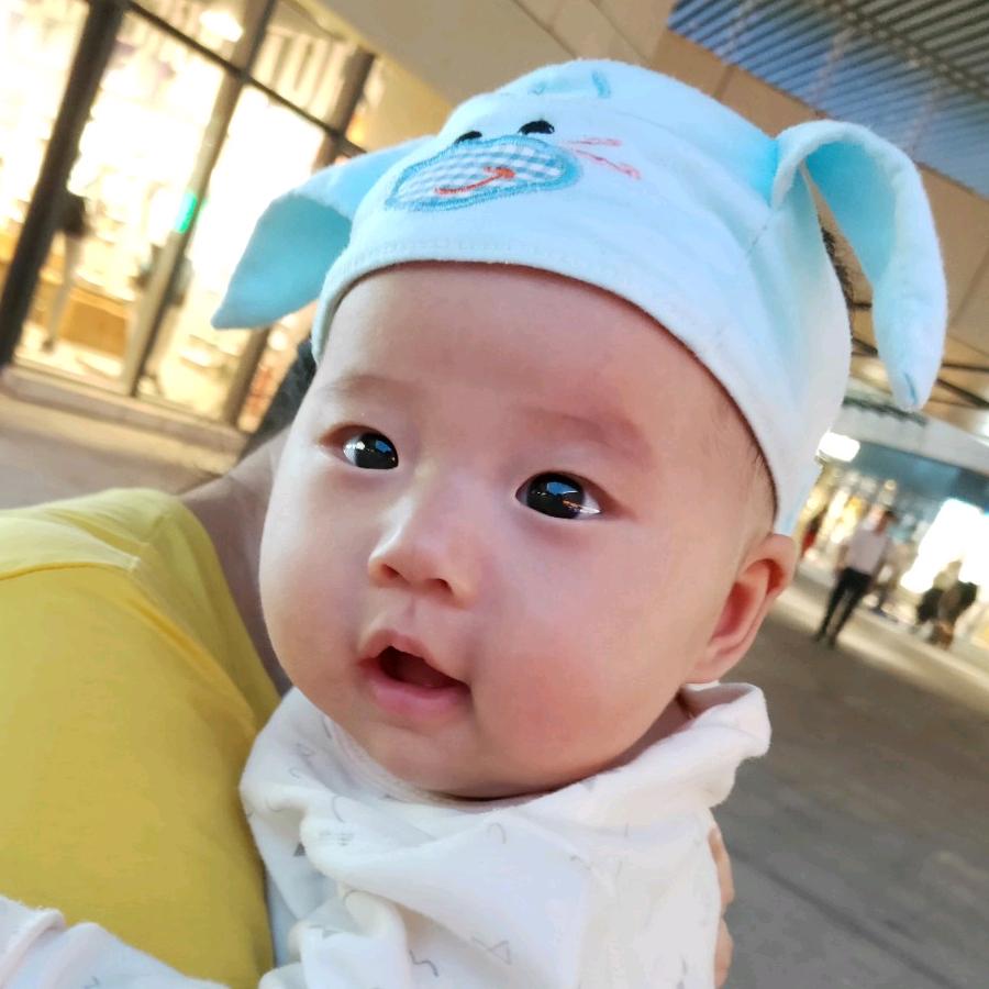 渊博的杜杜