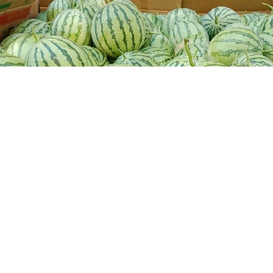用户9239667964689