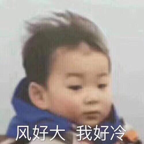 大鱼海棠🐋