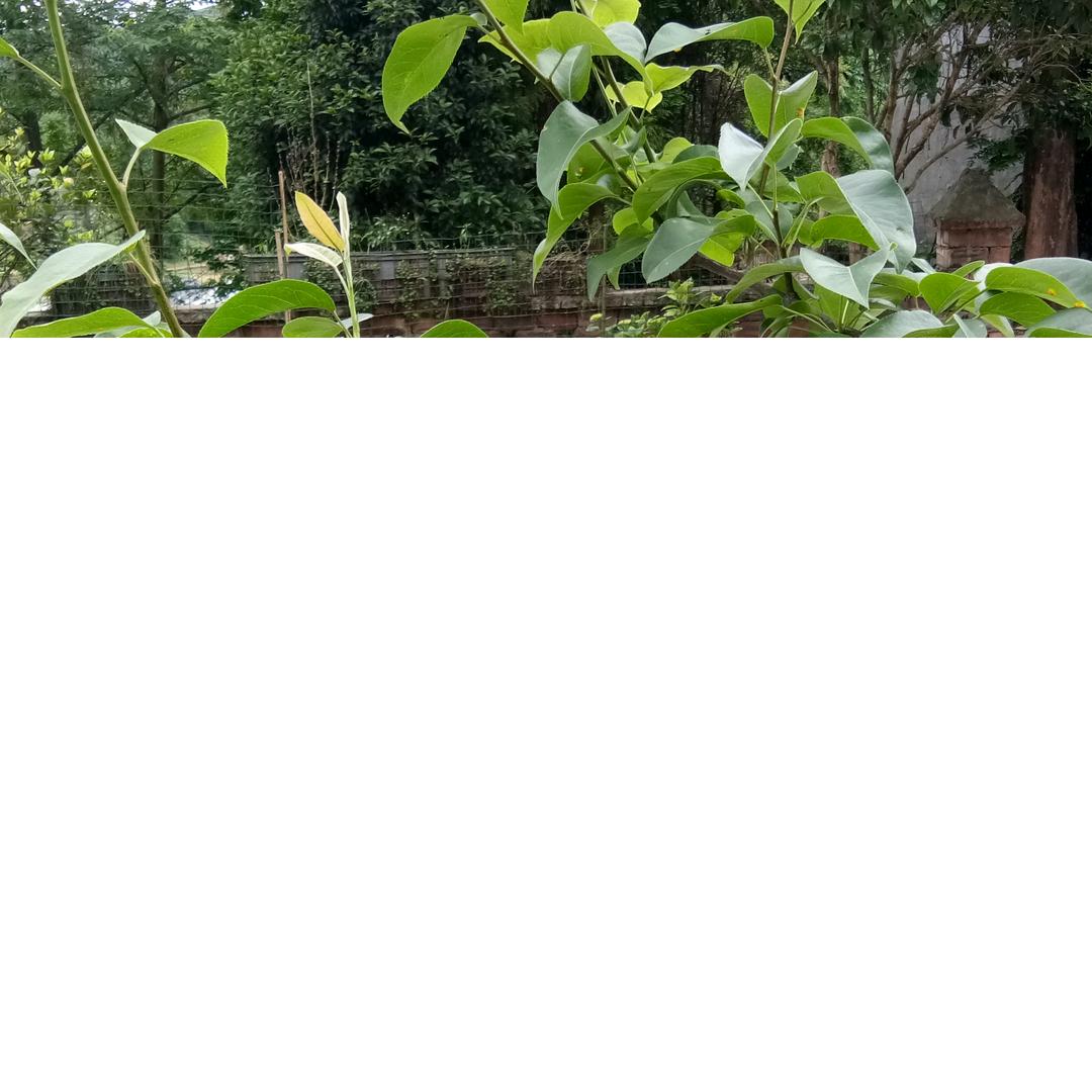 今生有你