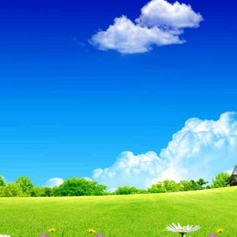 阳光