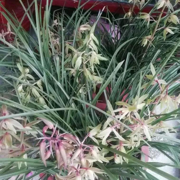 每天开心就好！