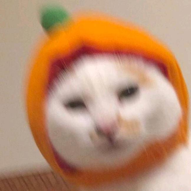 orange不要肉