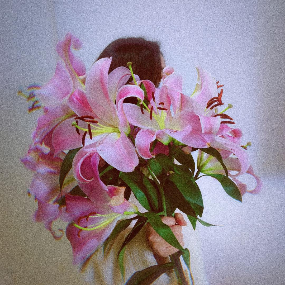 I’m 树袋熊🐨