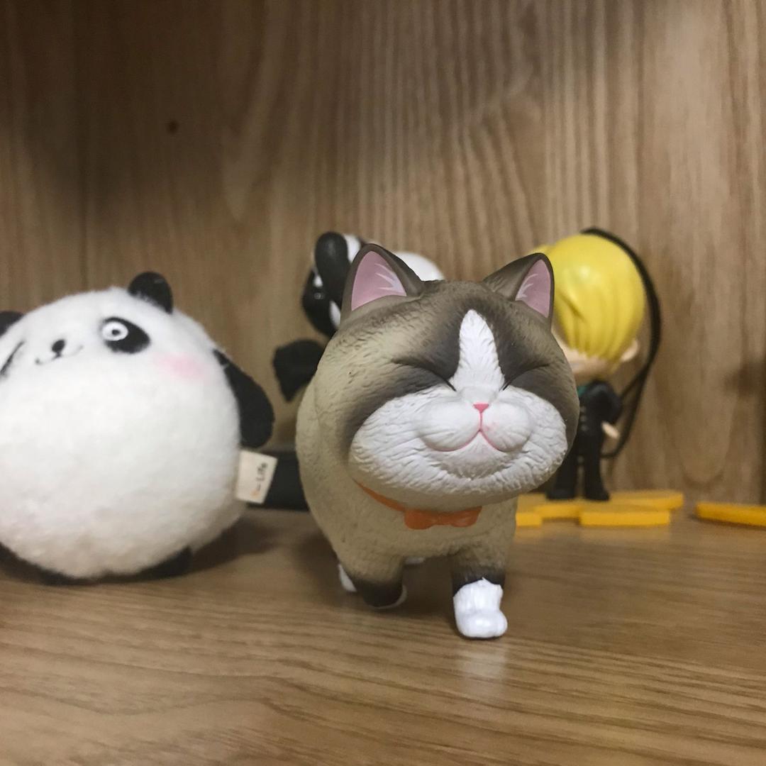 我叫不尴尬