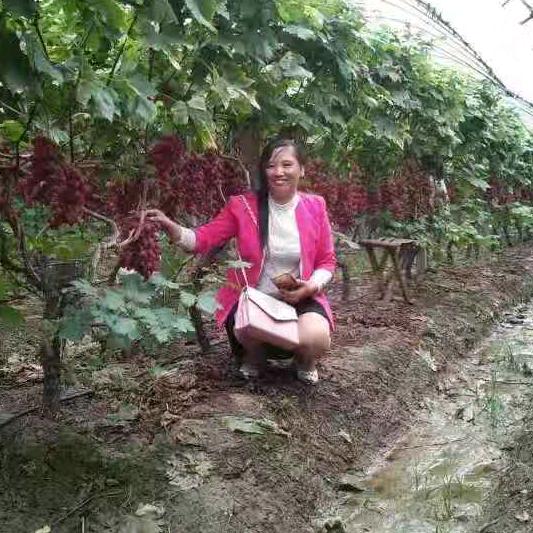 小温
