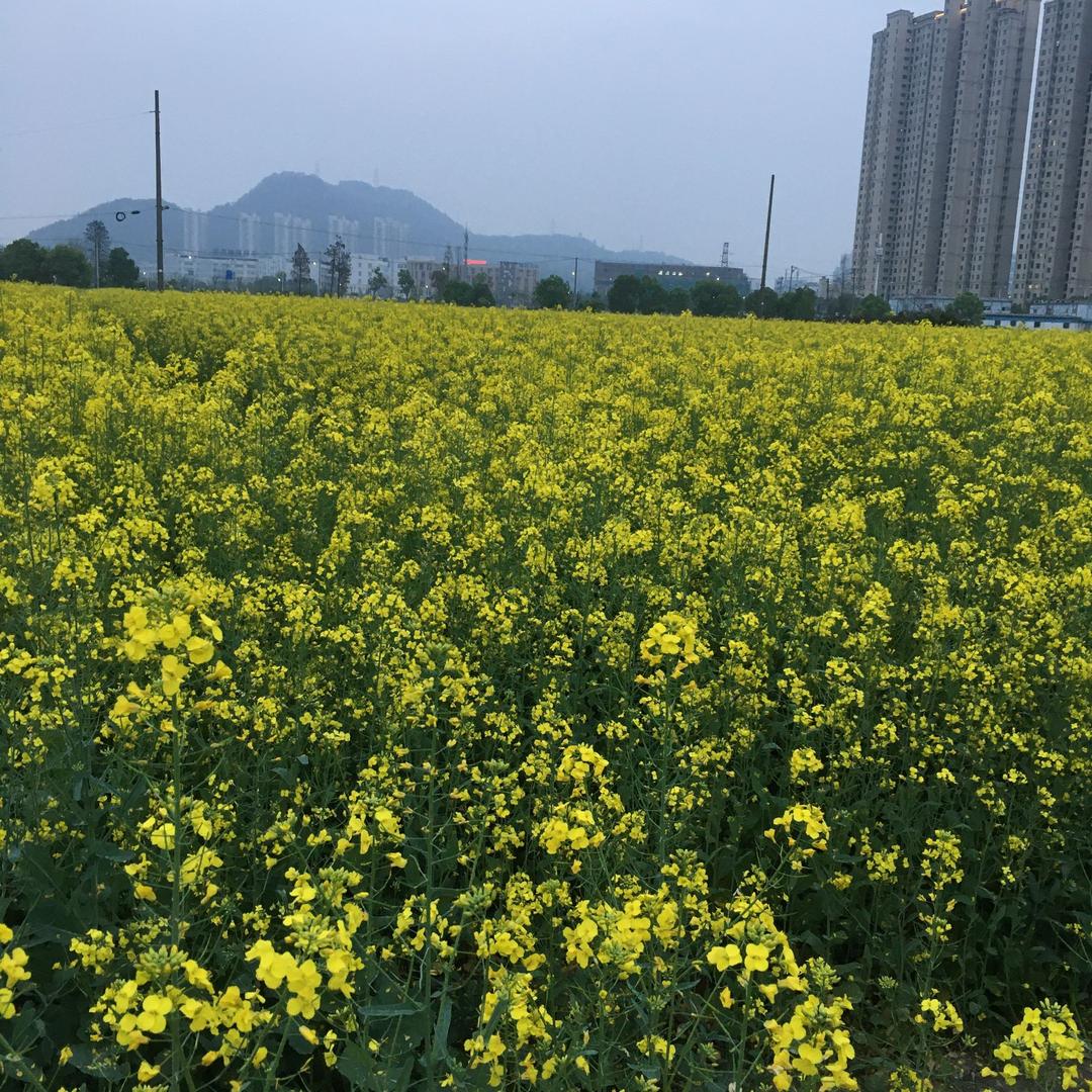 开开心心过日子