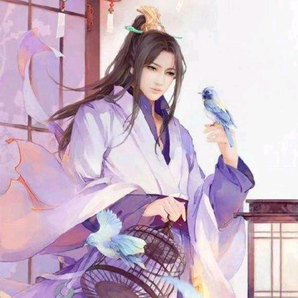 股民剑如初