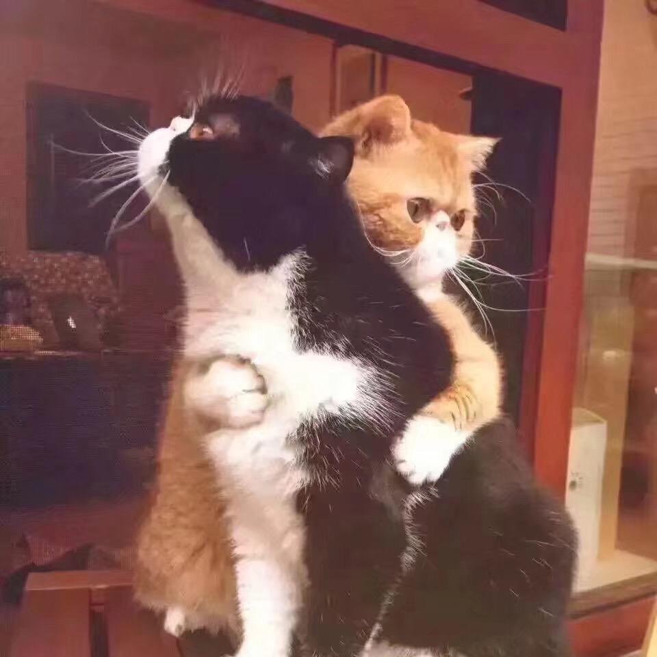 小五