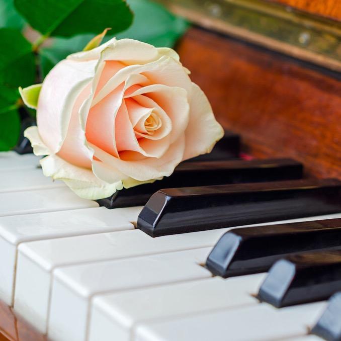 地图上的音符🎵