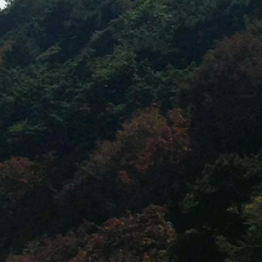 心胸开阔