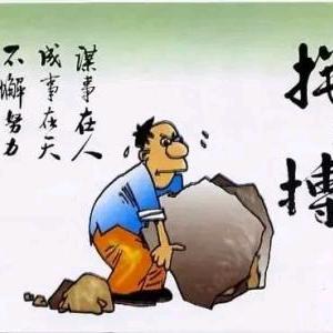 扬哥