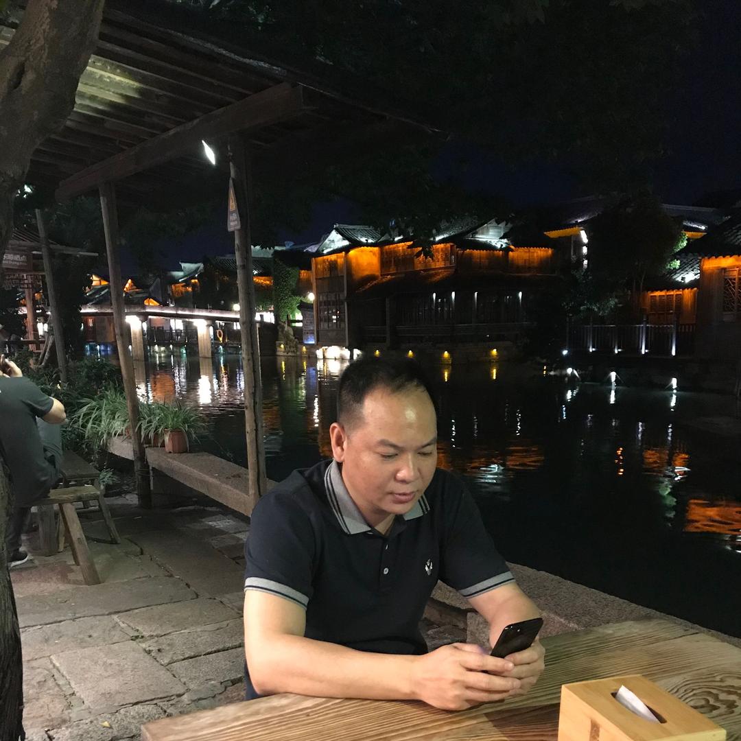 大漠大树