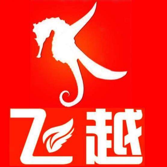 胡江宁（飞越电脑绣花机）