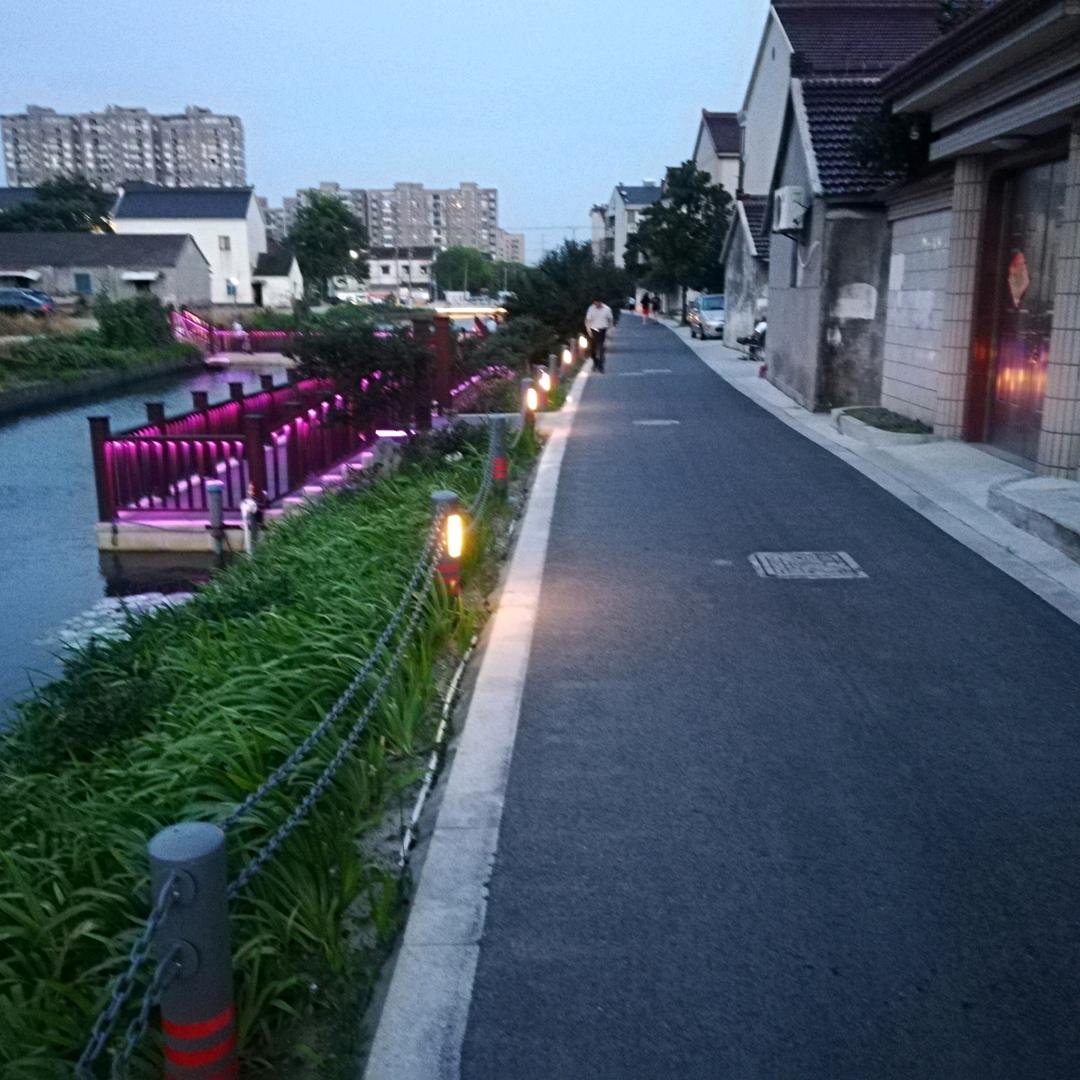 🌺🌺梅紫🌺🌺