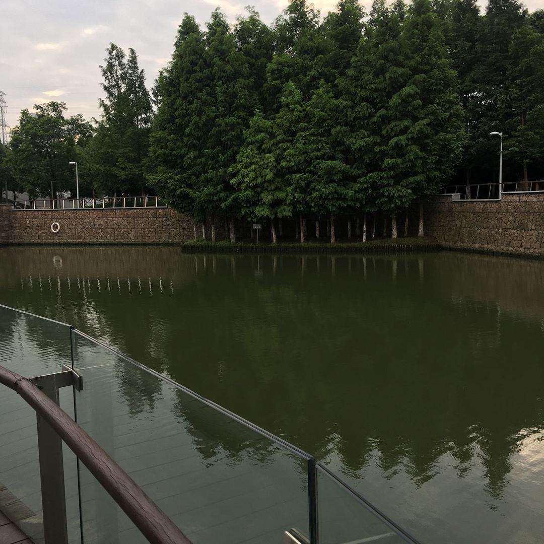 森垚