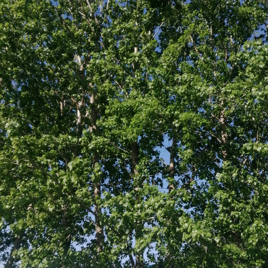 用户7063865455567宝
