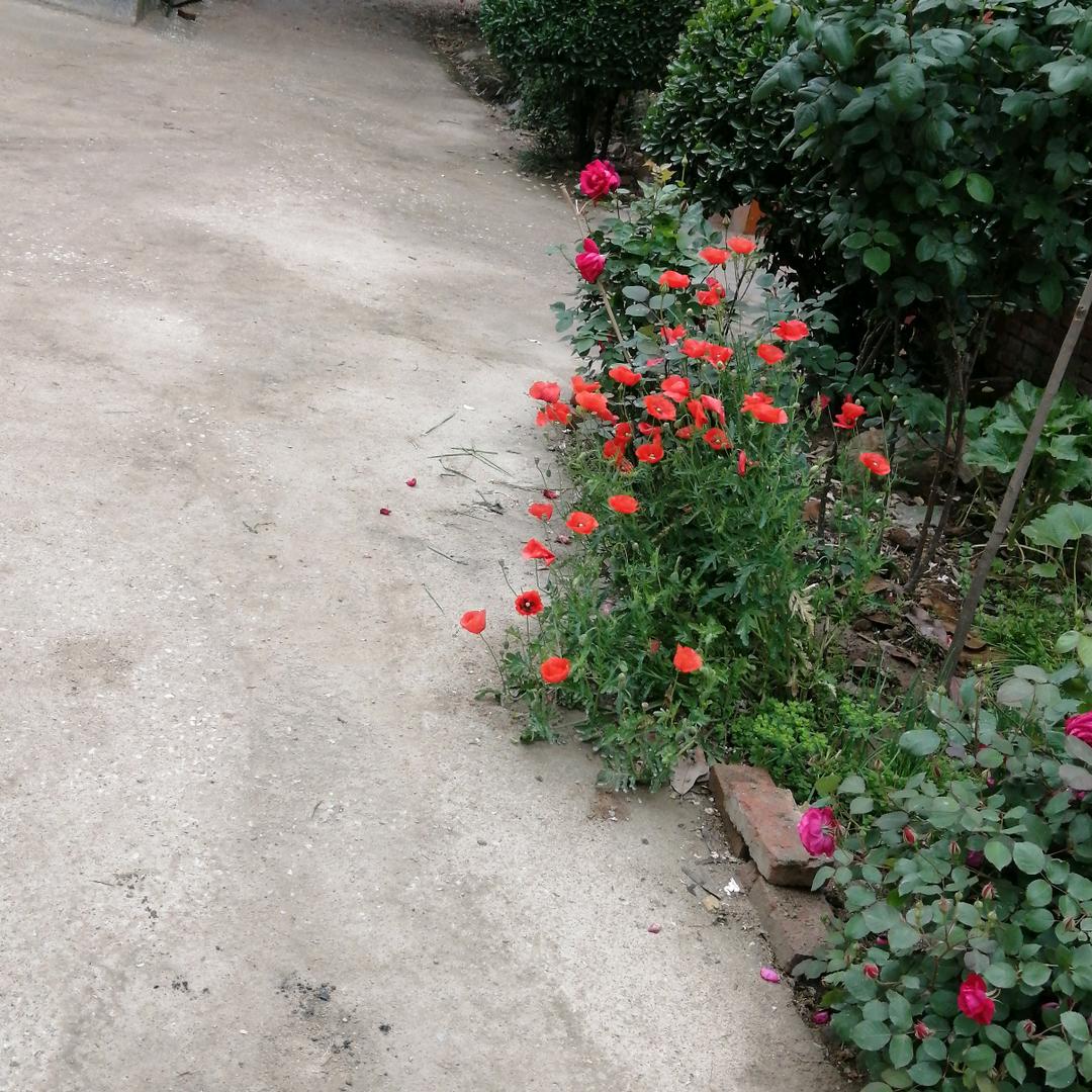 牛哥驾校