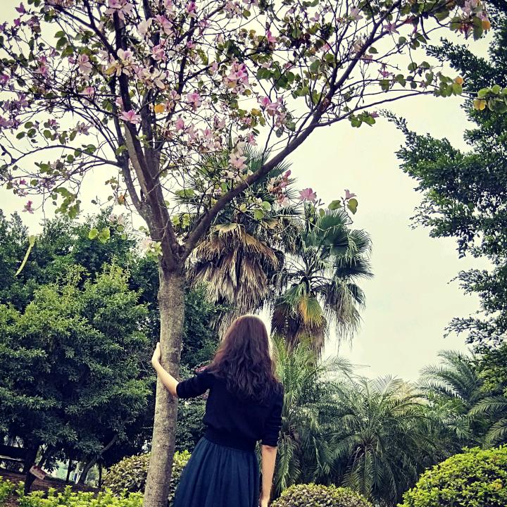 珊珊