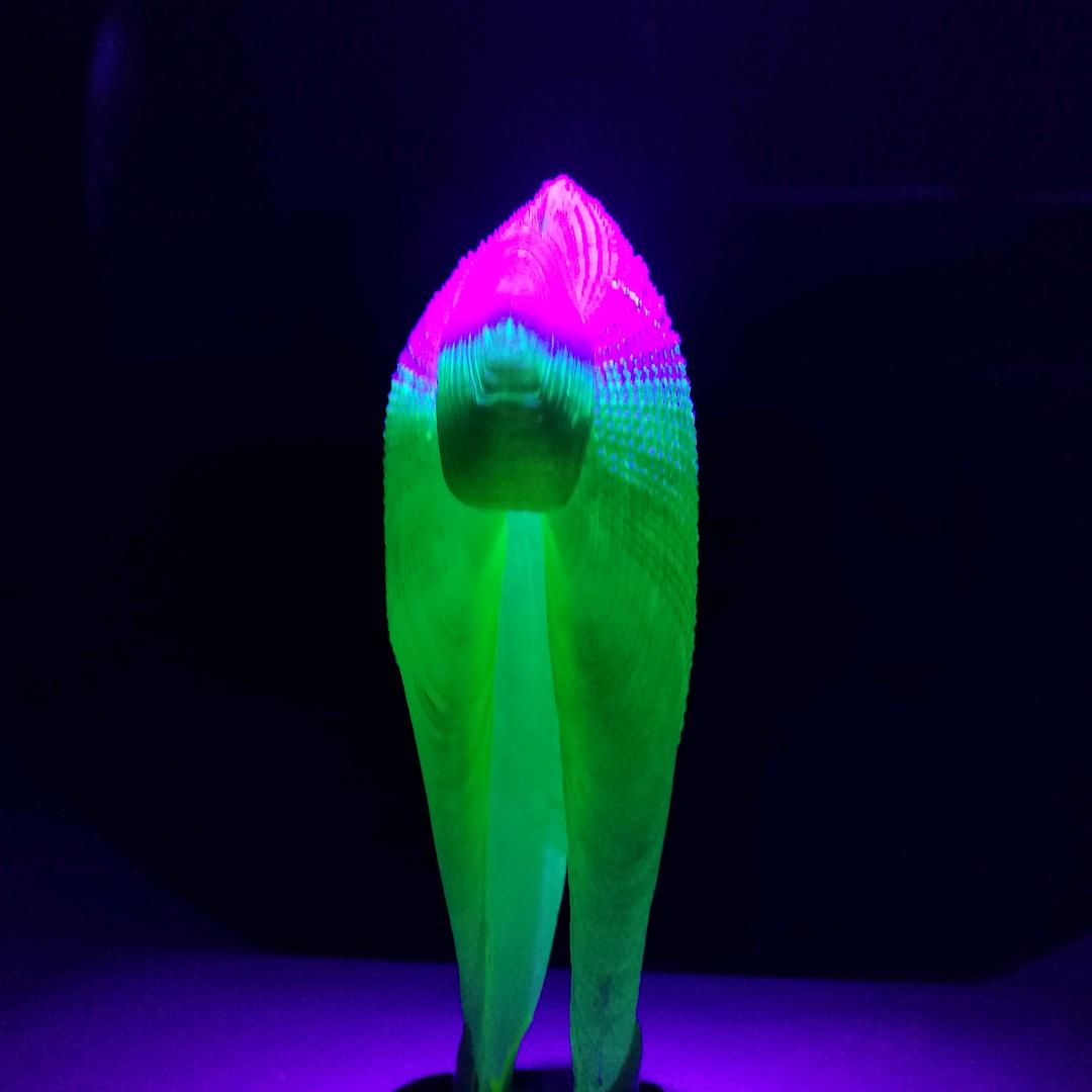 白云深处
