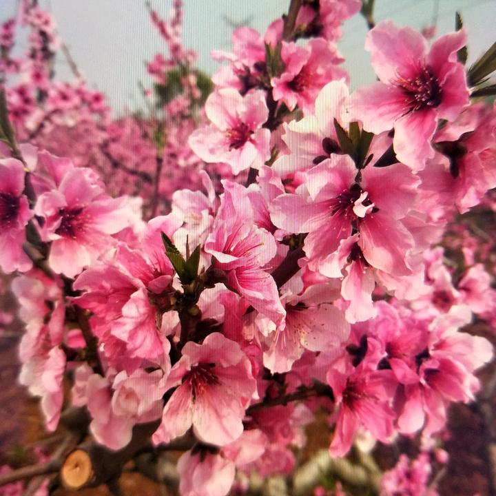 缘来缘往