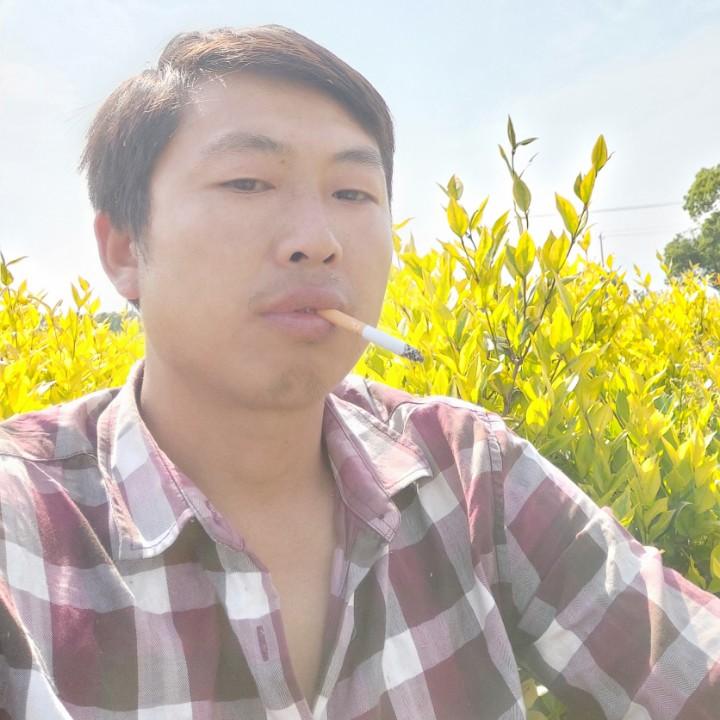 @苗木人