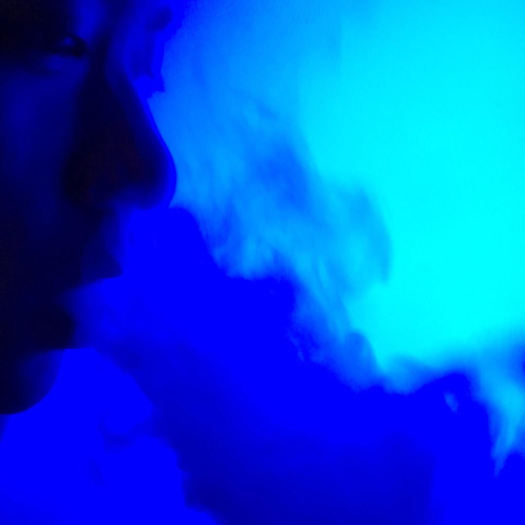 刘阳进森林