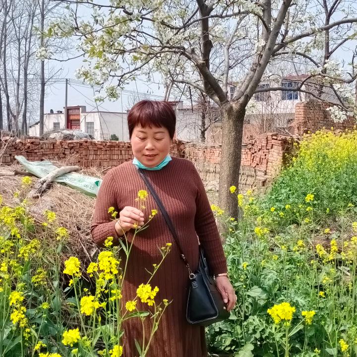 戏迷