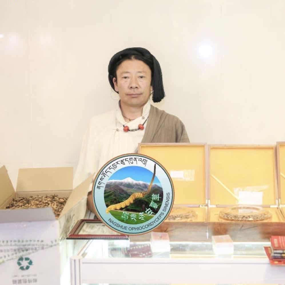 贡嘎