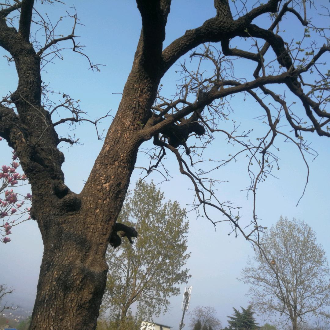 坚持就是一种态度