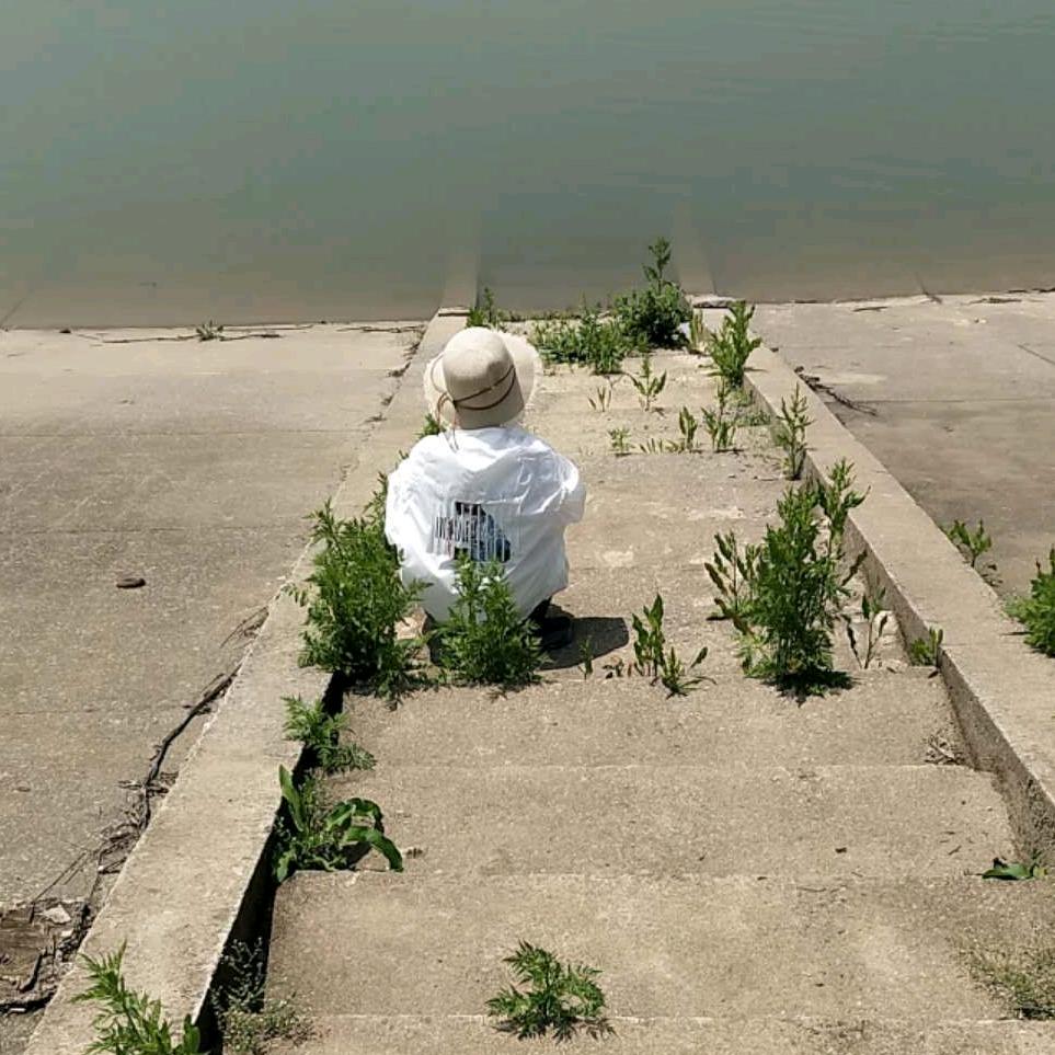 心之所向，素履而往