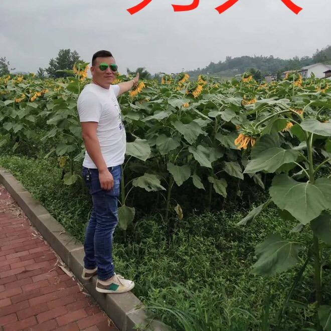 82年的矿泉水