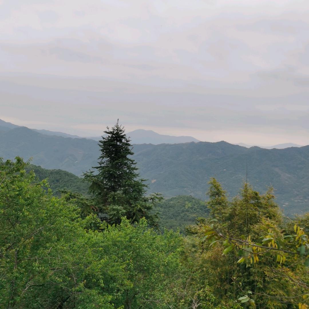 鲁速