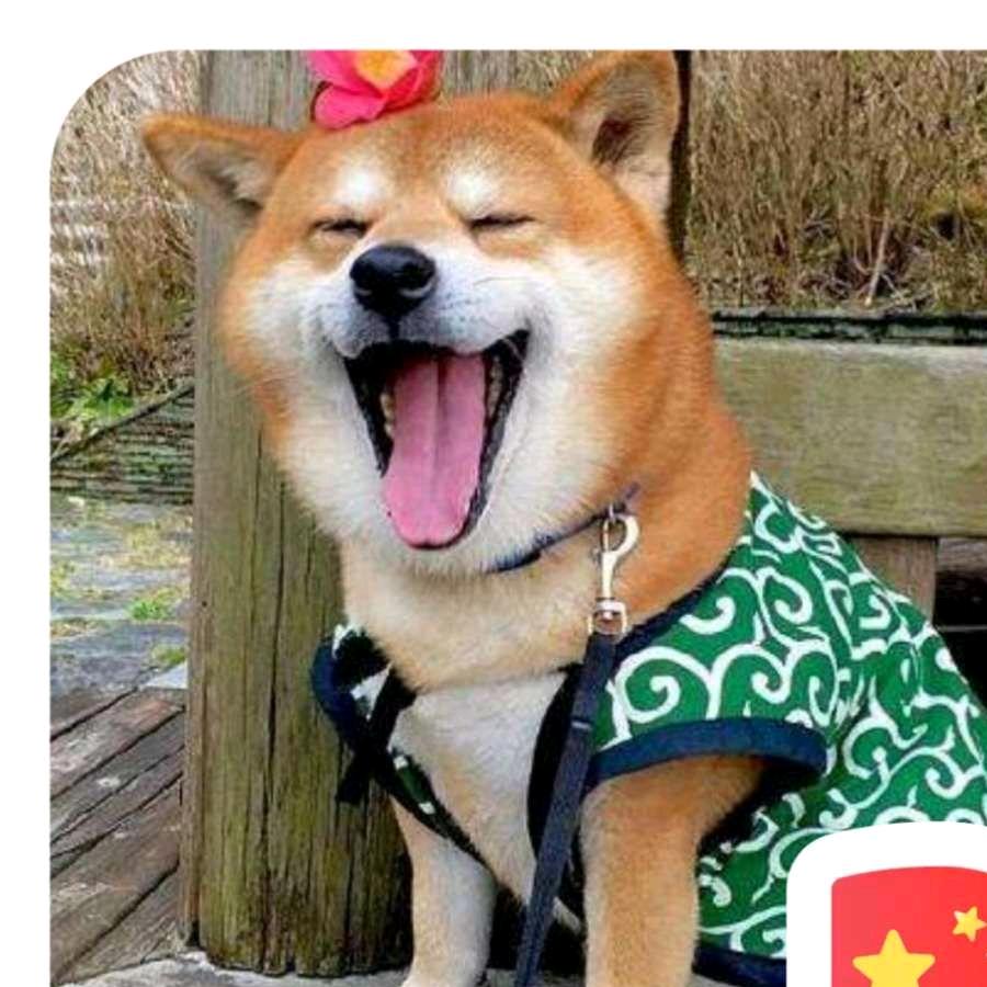 火凤凰晓敏