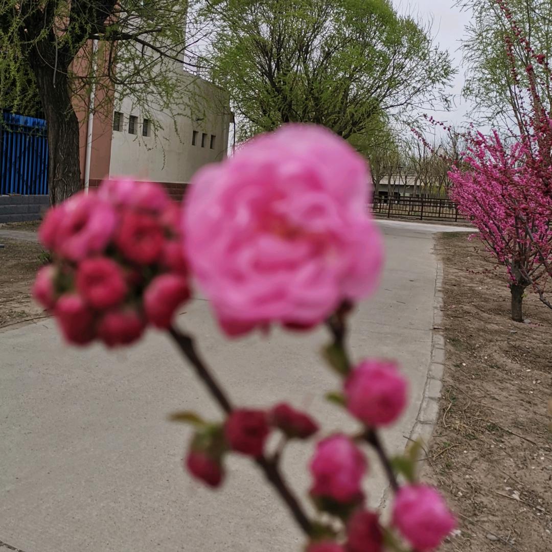 辣姐